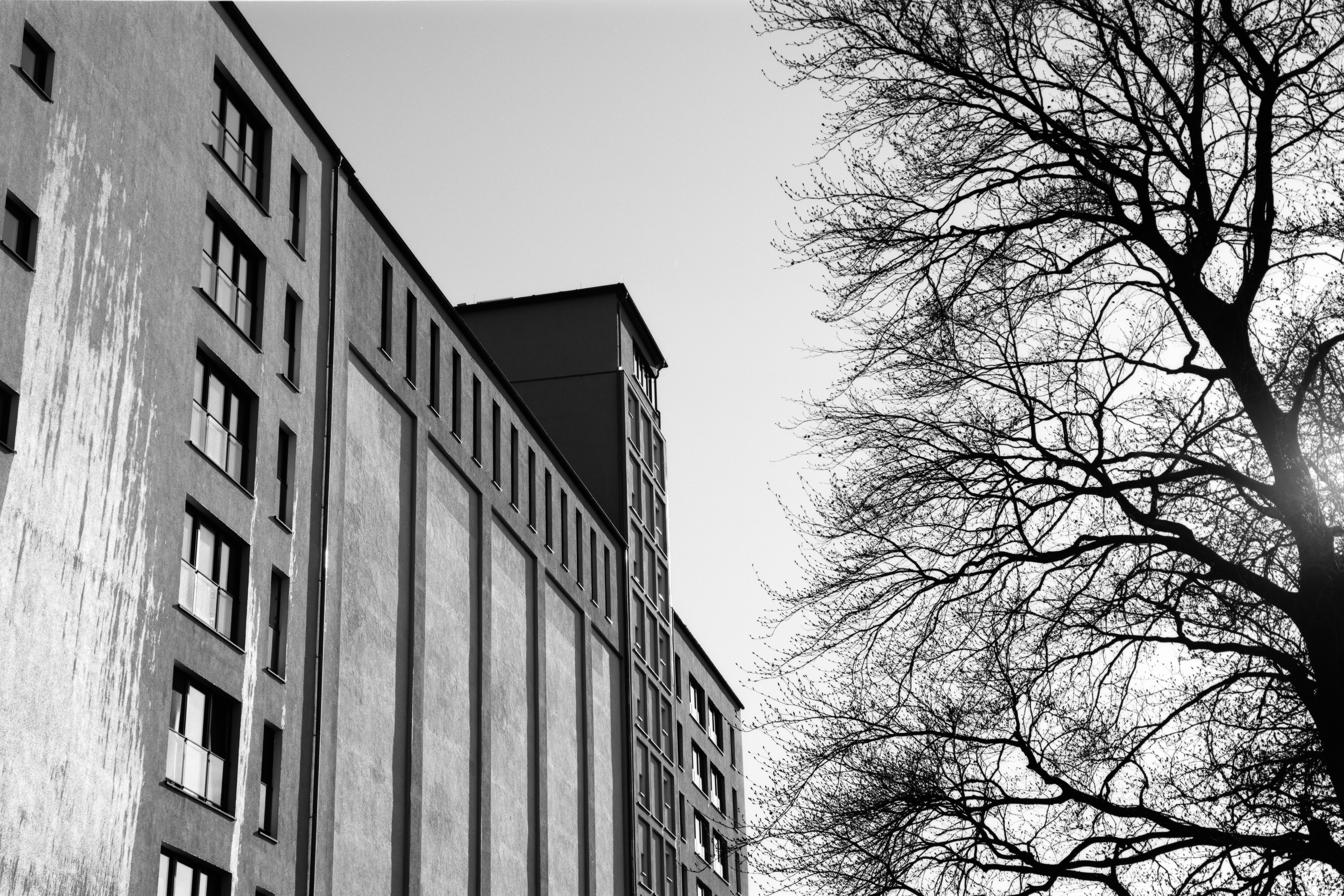 A black and white photo of a house on the left, a tree on the right leading the eye in the distance.